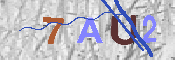 Immagine CAPTCHA