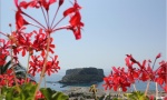 La più grande Isola della Calabria: ISOLA di DINO